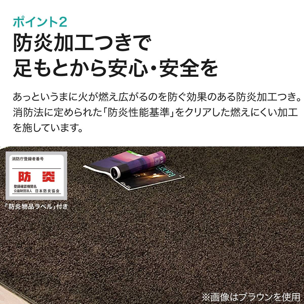 ダニよけ・抗菌防臭・防炎カーペット(エアープラスRO 100X140