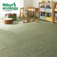 ミックス調の糸を使用したボリュームのあるカーペット(Nバンカ GR 4.5J)