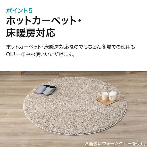 ダニよけ・抗菌防臭・防炎カーペット(エアープラスWGY 130cmR) 18枚目画像