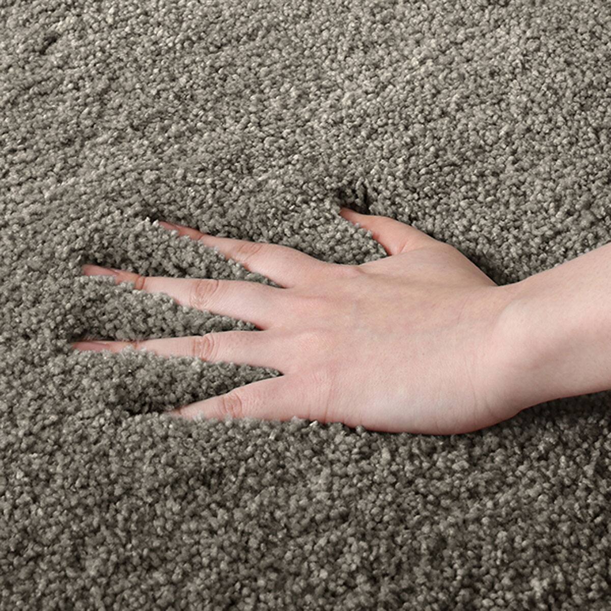 防ダニ 防炎 抗菌カーペット ナイロンムートン 通販 ニトリネット 公式 家具 インテリア通販