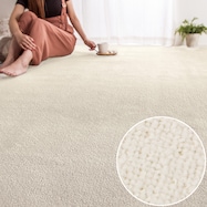 防音・防ダニ・抗菌防臭カーペット(Nアチーバー)