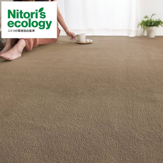 防音・防ダニ・抗菌防臭カーペット(Nアチーバー BR 185X185) 1枚目画像