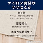 防音・防ダニ・抗菌防臭カーペット(Nアチーバー BR 185X185) 6枚目画像