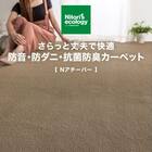 防音・防ダニ・抗菌防臭カーペット(Nアチーバー BR 185X185) 8枚目画像