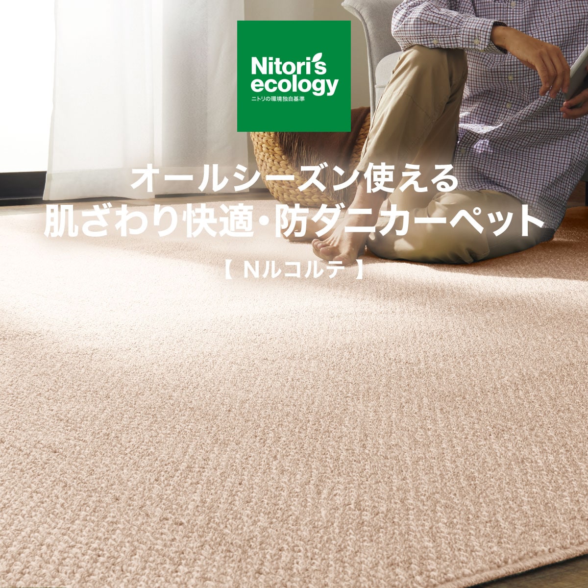防ダニカーペット(Nルコルテ BE 8J)通販 | ニトリネット【公式】 家具
