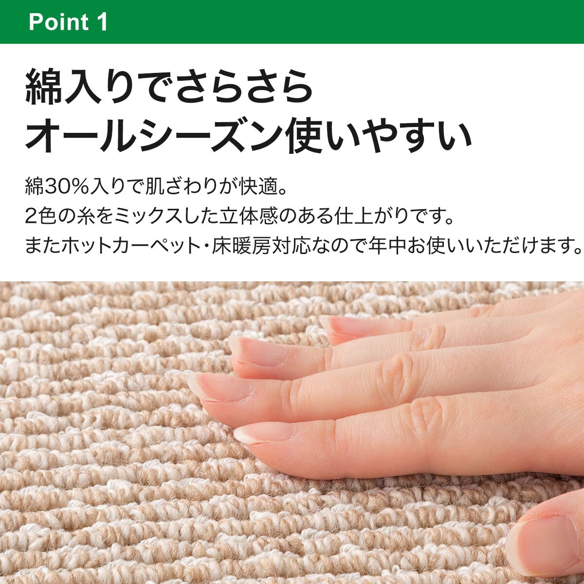 防ダニカーペット(Nルコルテ BE 8J)通販 | ニトリネット【公式】 家具