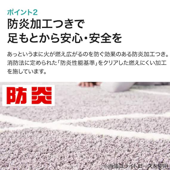 ダニよけ・抗菌防臭・防炎カーペット(エアープラスWGYキカ100x140) 20枚目画像