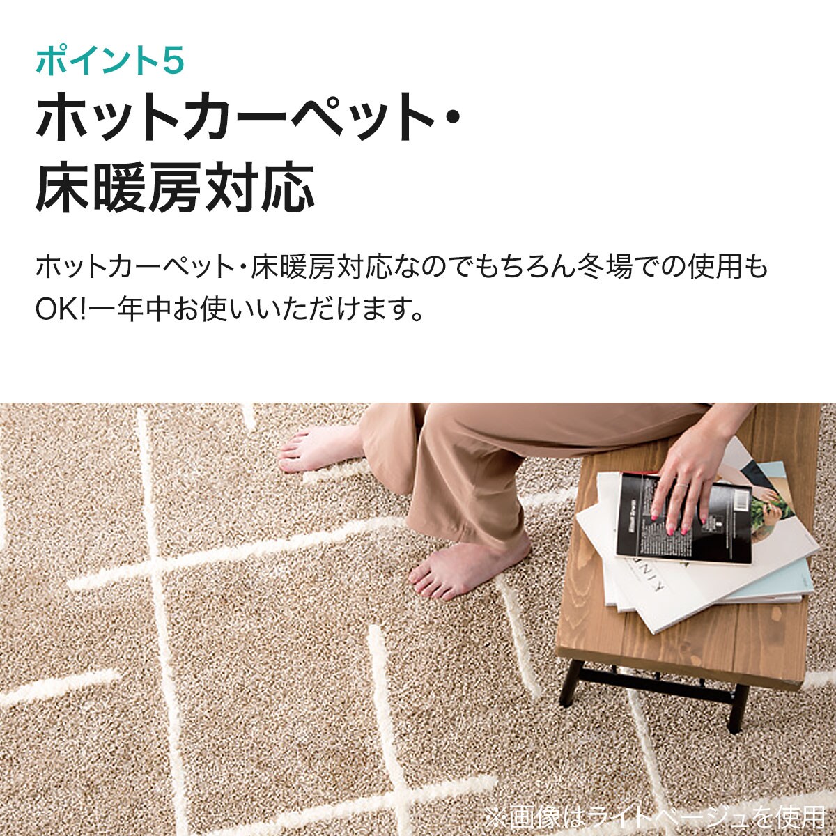 ダニよけ・抗菌防臭・防炎カーペット(エアープラスWGYキカ100x140