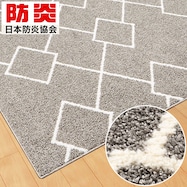 ダニよけ・抗菌防臭・防炎カーペット(エアープラスWGYキカ)