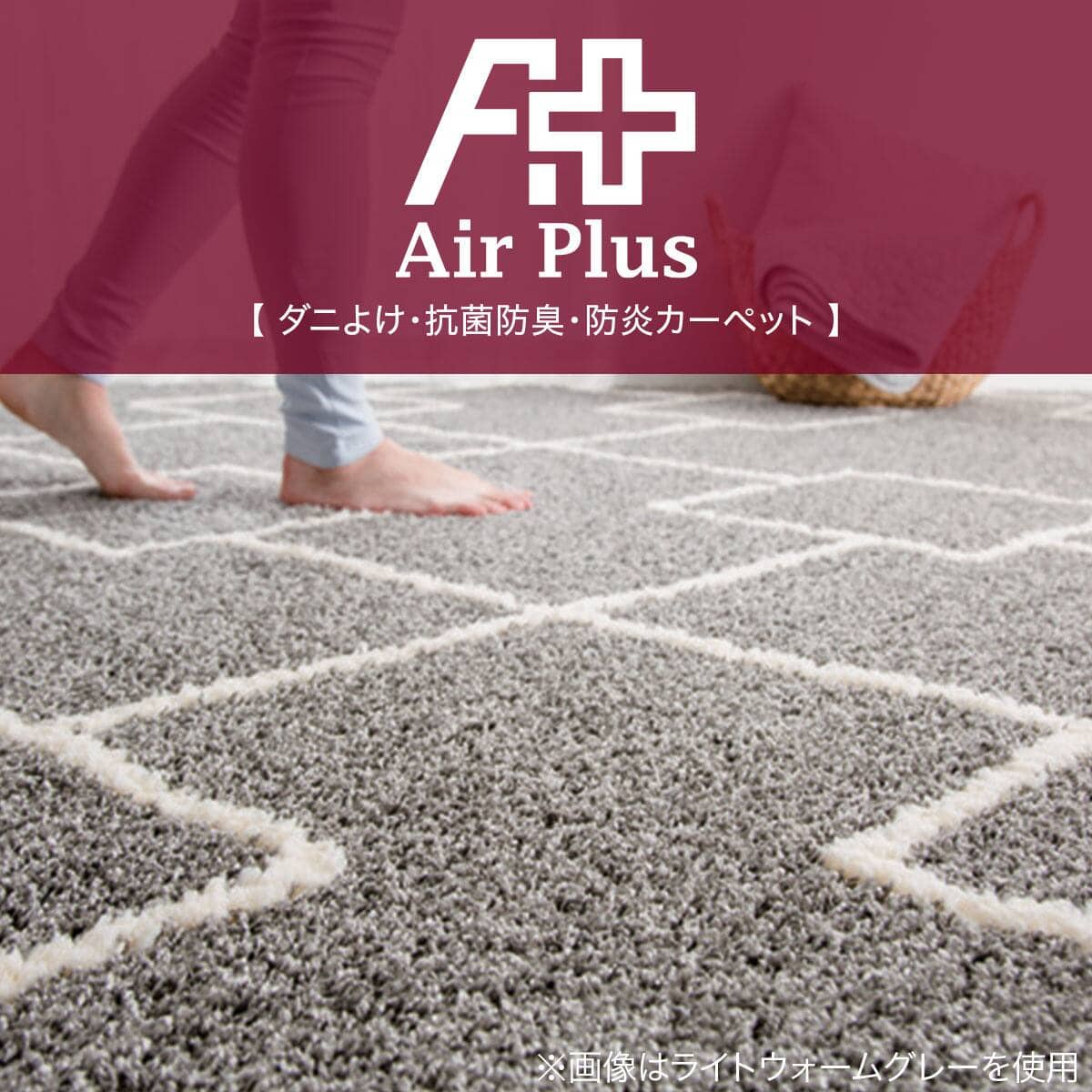 オールシーズン適用 抗菌防臭 極細カシミヤ カーペット 200x250cm ダニよけ・抗菌防臭・防炎カーペット(エアープラスBEライン140x200