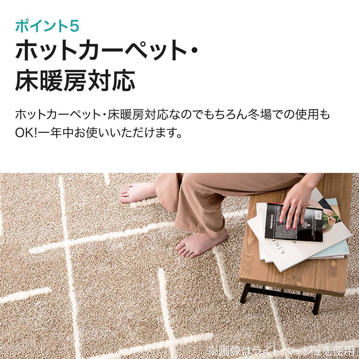 ダニよけ・抗菌防臭・防炎カーペット(エアープラスBEライン140x200