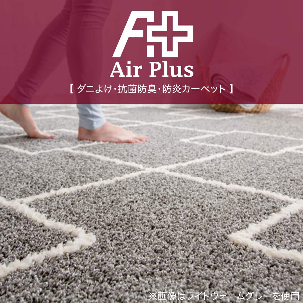 ダニよけ・抗菌防臭・防炎カーペット(エアープラスBEライン200x200