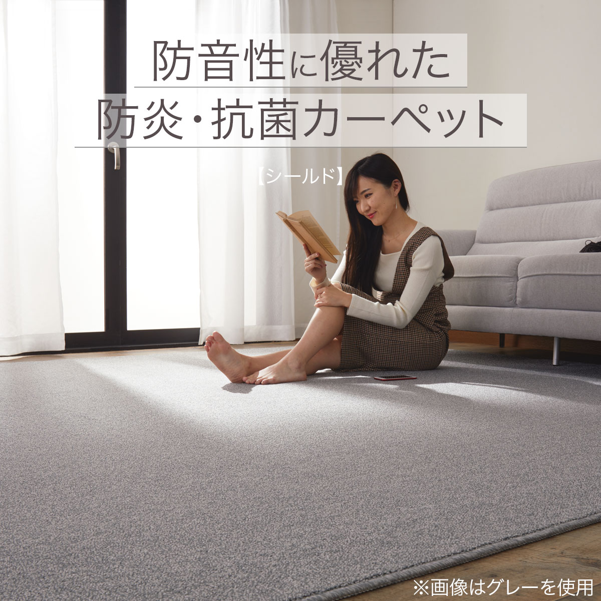 防音性に優れた防炎・抗菌カーペット(シールド BL 200X300)通販
