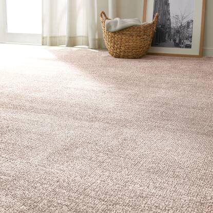 抗菌防臭カーペット Ksシャギー 通販 ニトリネット 公式 家具 インテリア通販