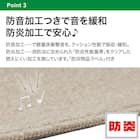 防音・防炎・抗菌防臭・防ダニカーペット(Nオーネスト IV 200X240) 8枚目画像