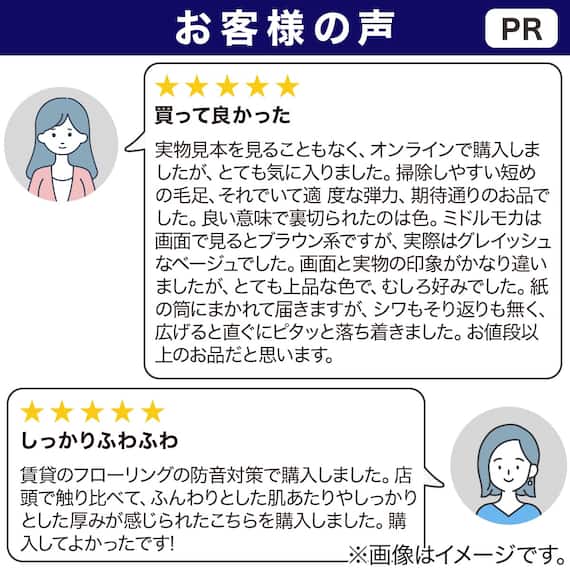 防音・防炎・抗菌防臭・防ダニカーペット(Nオーネスト BE 200X285) 2枚目画像