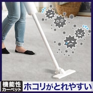 ほこりがとれやすい カーペット(RC04)