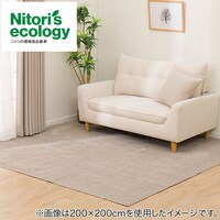 カーペット(RC04 BE 200X285cm)