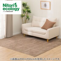 カーペット 江戸間6帖(RC04 BR)