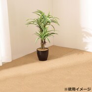 コルクマット おしゃれの検索結果 ニトリネット 公式 家具 インテリア通販