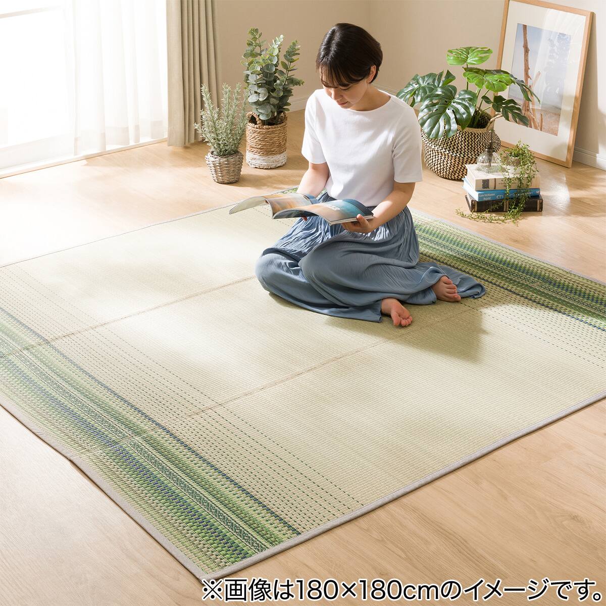 略語 知らせる 葉巻 ニトリ ござ ラグ に応じて 学部 修正する