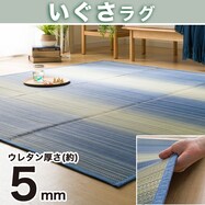 防カビ・防ダニ加工付き い草ラグ(gd s)