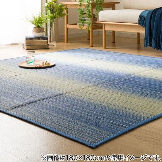 いぐさラグ(gd 180X240 BL s) 2枚目画像