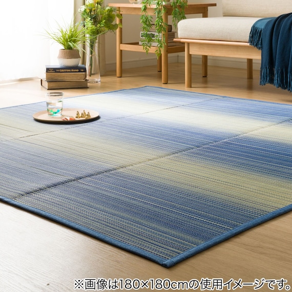 いぐさラグ(gd 180X240 BL s) 2枚目画像