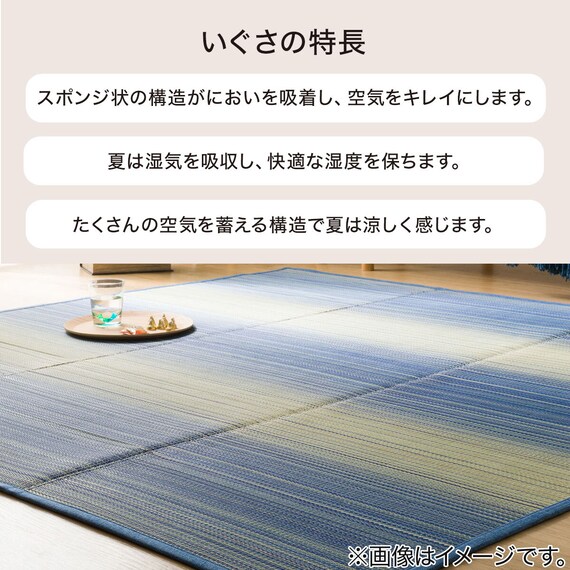 いぐさラグ(gd 180X240 BL s) 3枚目画像