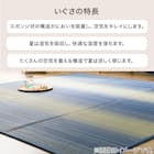 いぐさラグ(gd 180X240 BL s) 3枚目画像