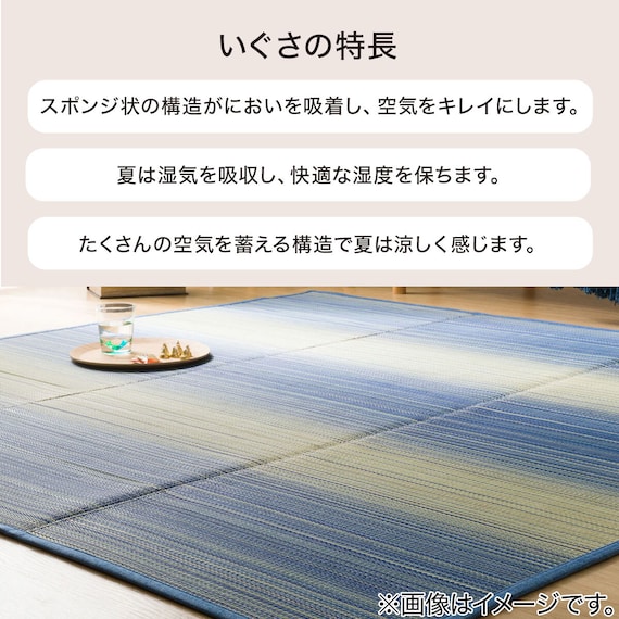 いぐさラグ(gd 180X240 BL s) 3枚目画像