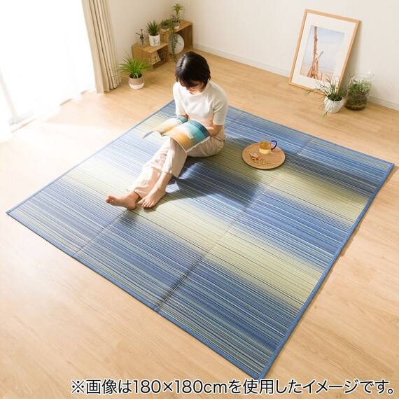 いぐさラグ(gd 180X240 BL s) 4枚目画像