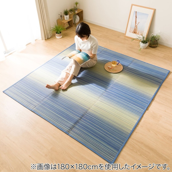 いぐさラグ(gd 180X240 BL s) 4枚目画像
