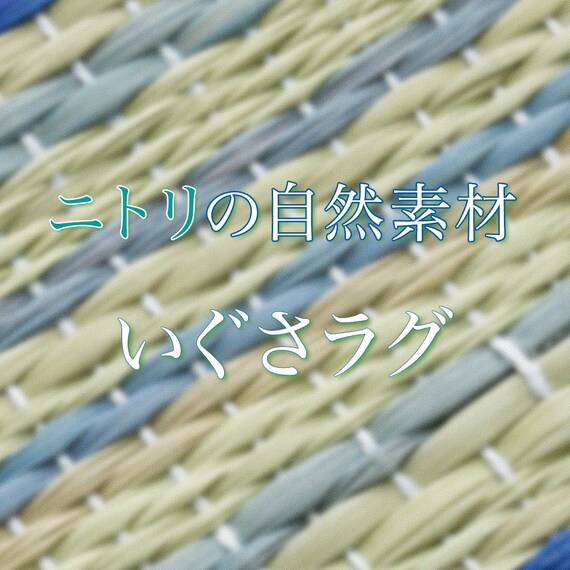 いぐさラグ(gd 180X240 BL s) 10枚目画像