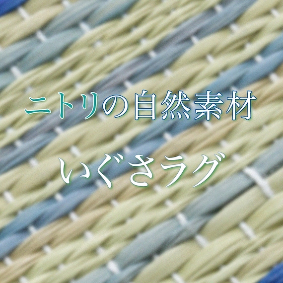 いぐさラグ(gd 180X240 BL s) 10枚目画像