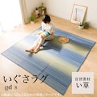 いぐさラグ(gd 180X240 BL s) 11枚目画像