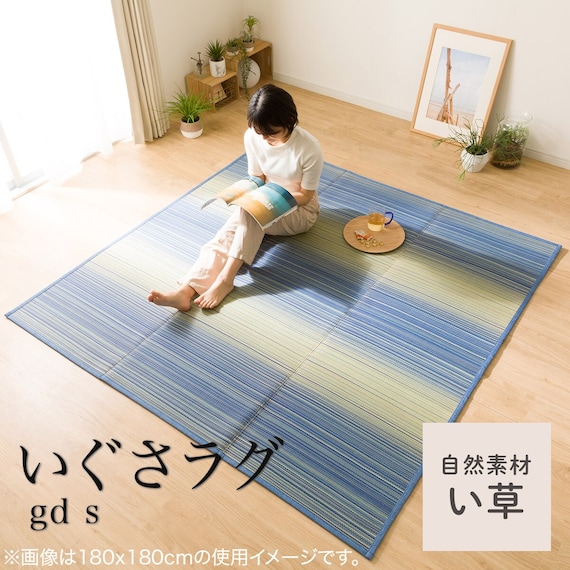 いぐさラグ(gd 180X240 BL s) 11枚目画像