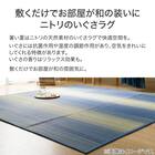 いぐさラグ(gd 180X240 BL s) 12枚目画像