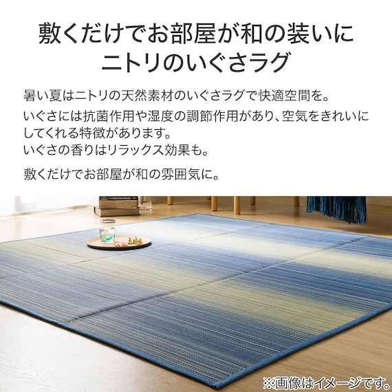 いぐさラグ(gd 180X240 BL s) 12枚目画像