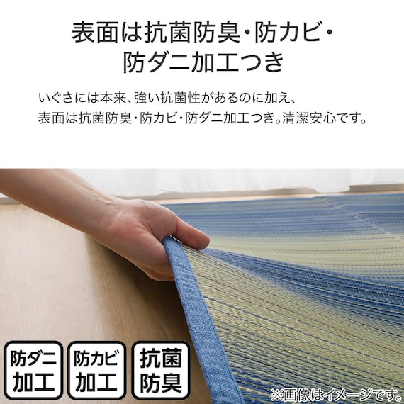 いぐさラグ(gd 180X240 BL s) 14枚目画像