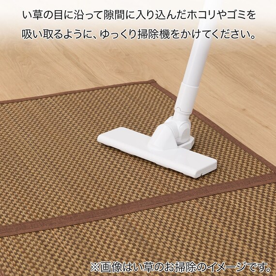 いぐさラグ(gd 180X240 BL s) 16枚目画像