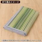 いぐさラグ(gd 180X240 BL s) 17枚目画像