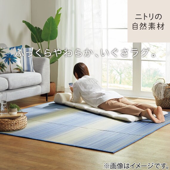 いぐさラグ(gd 180X240 BL s) 20枚目画像