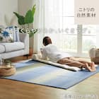 いぐさラグ(gd 180X240 BL s) 20枚目画像