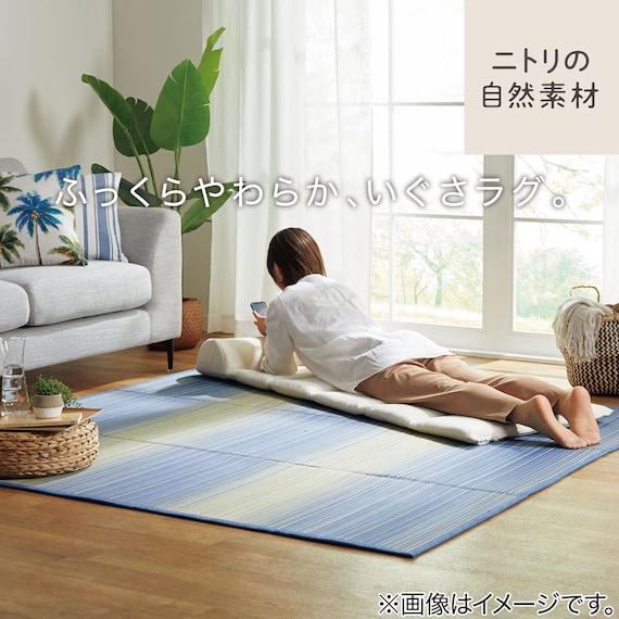 いぐさラグ(gd 180X240 BL s) 20枚目画像