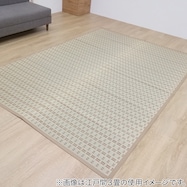 【送料無料】い草カーペット雲仙 (ベージュ 江戸間)