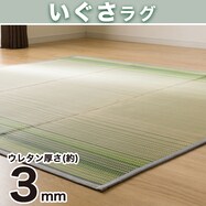 防カビ・防ダニ加工付き い草ラグ(mo GR)