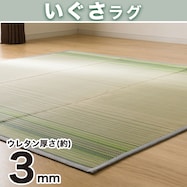 防カビ・防ダニ加工付き い草ラグ(mo GR)