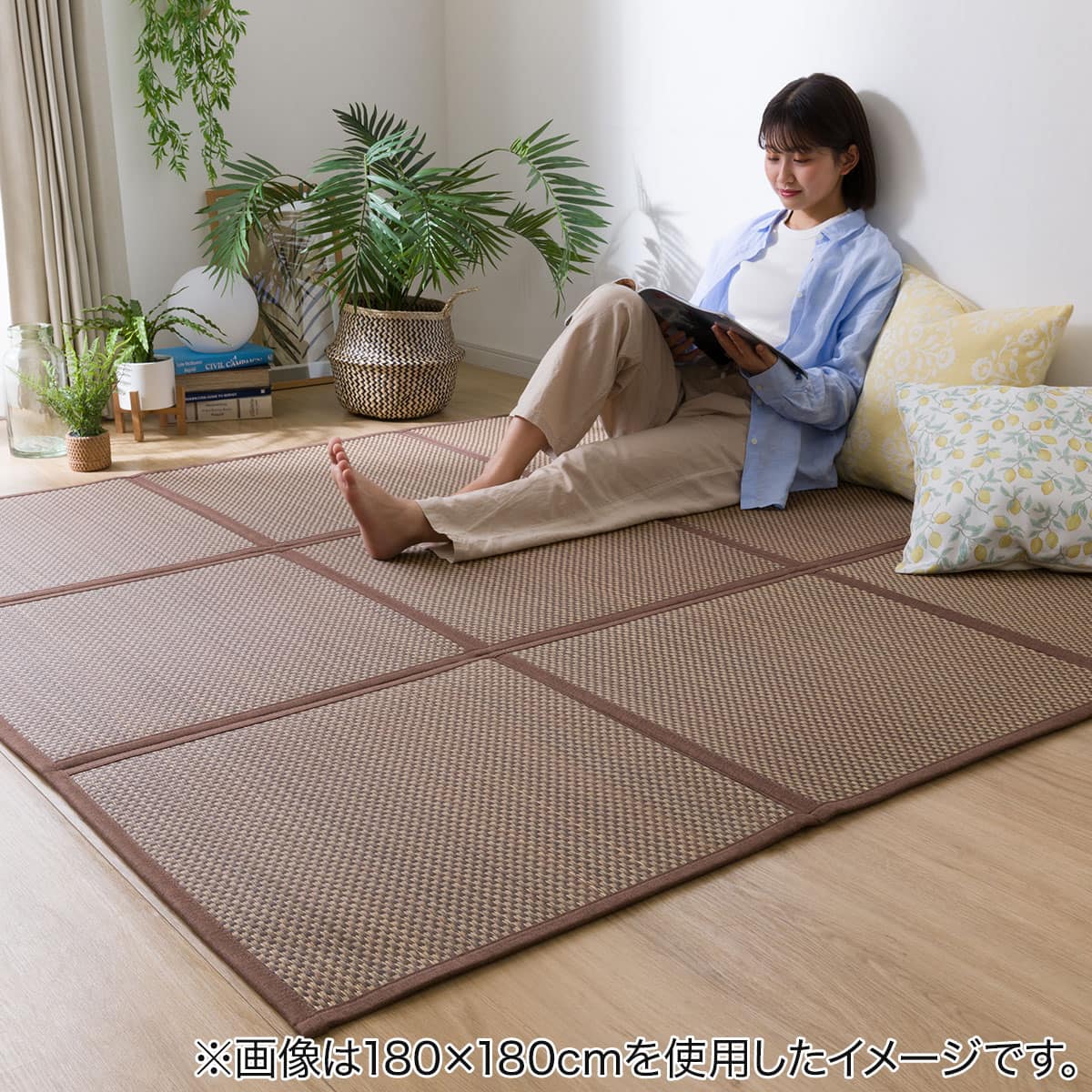 いぐさラグ(hk 180X240 BR) | ニトリネット【公式】 家具・インテリア通販