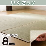 防カビ・防ダニ加工付き い草ラグ(sh NA)